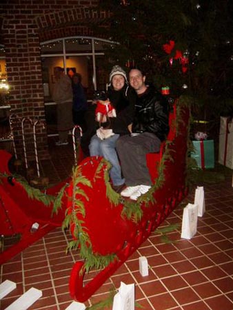 sleigh